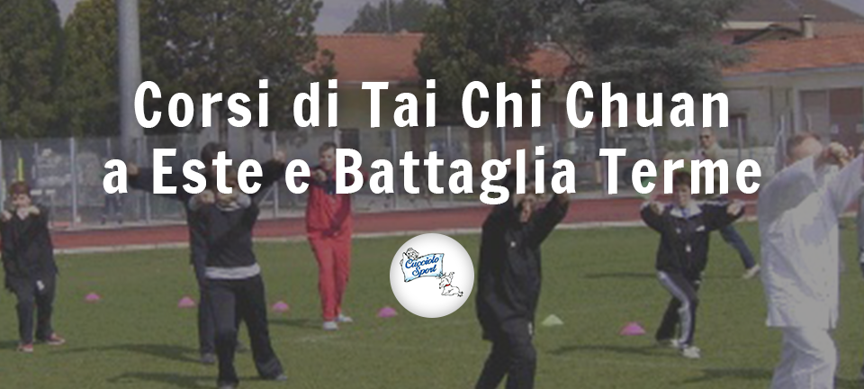 tai chi chuan